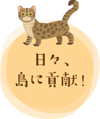 日々、島に貢献！