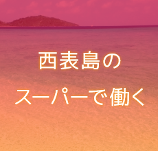 西表島交通グループで働く