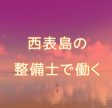 西表島交通グループで働く