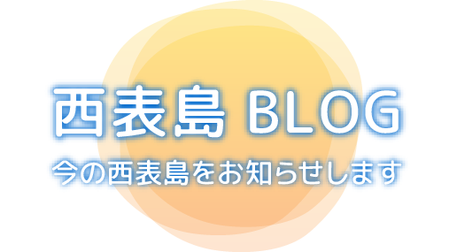 西表島BLOG
今の西表島のをお知らせします