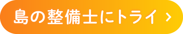島の整備士にトライ