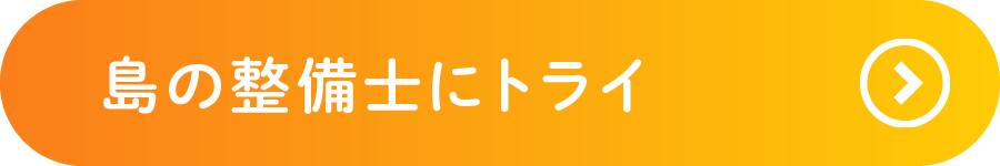 島の整備士にトライ