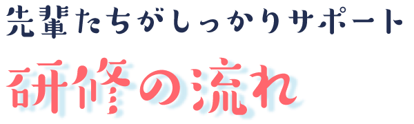 先輩たちがしっかりサポート
研修の流れ